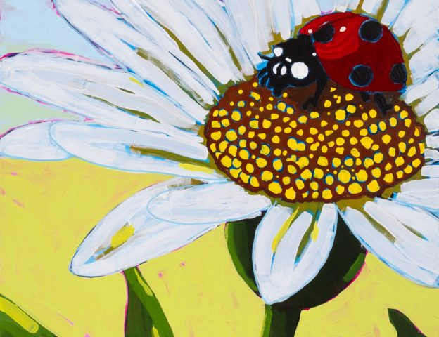 Round 2 Ladybug on Sunflower HRMC May 2025 (1)